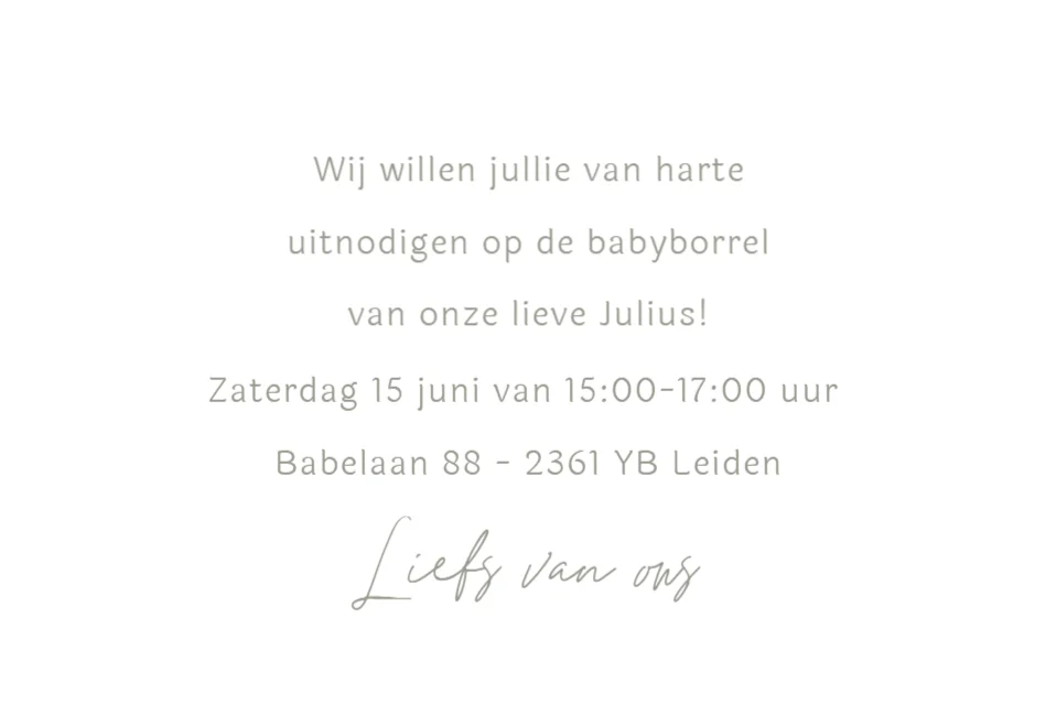 Silhouet grote broer - Terug