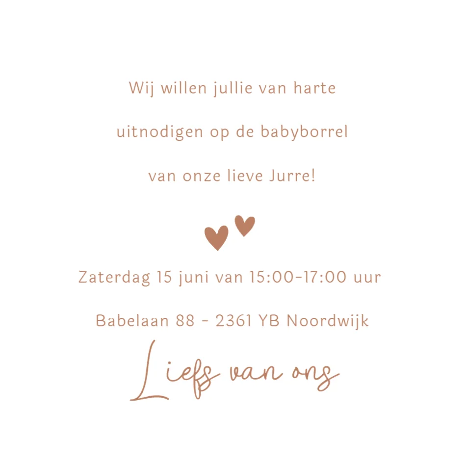 Bolderkar met broertjes - Terug