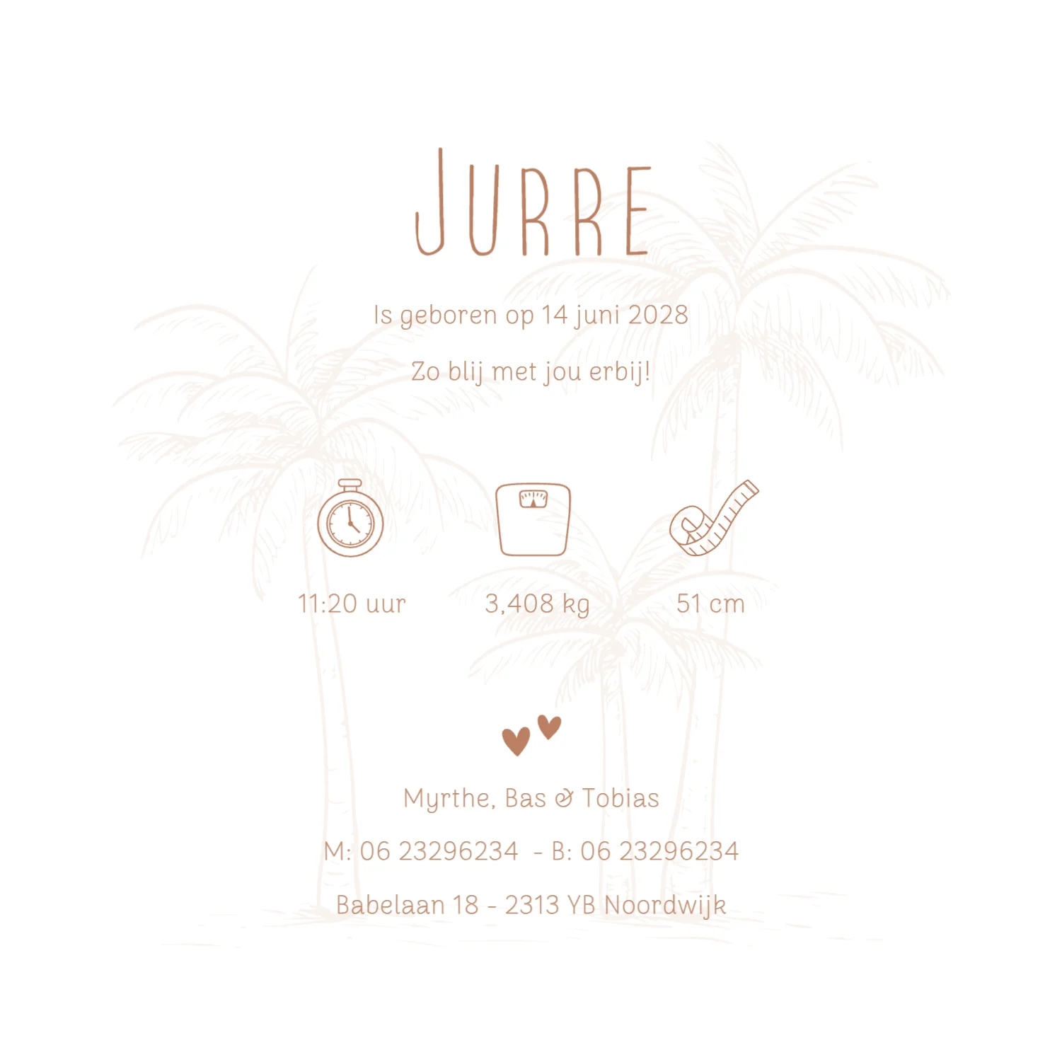 Bolderkar met broertjes - Terug