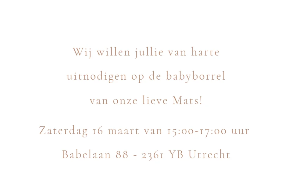 Broertjes met slee - Terug