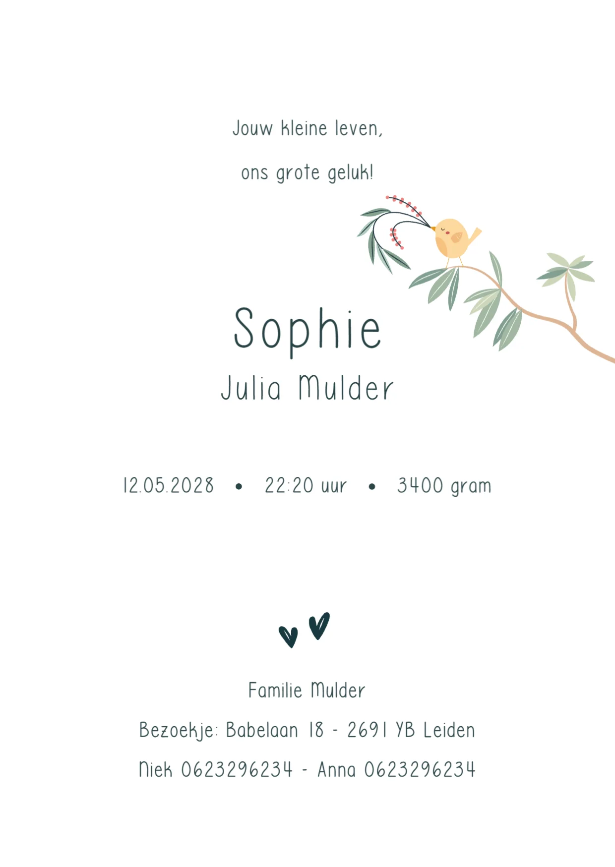 Vogeltjes in krans binnenkant