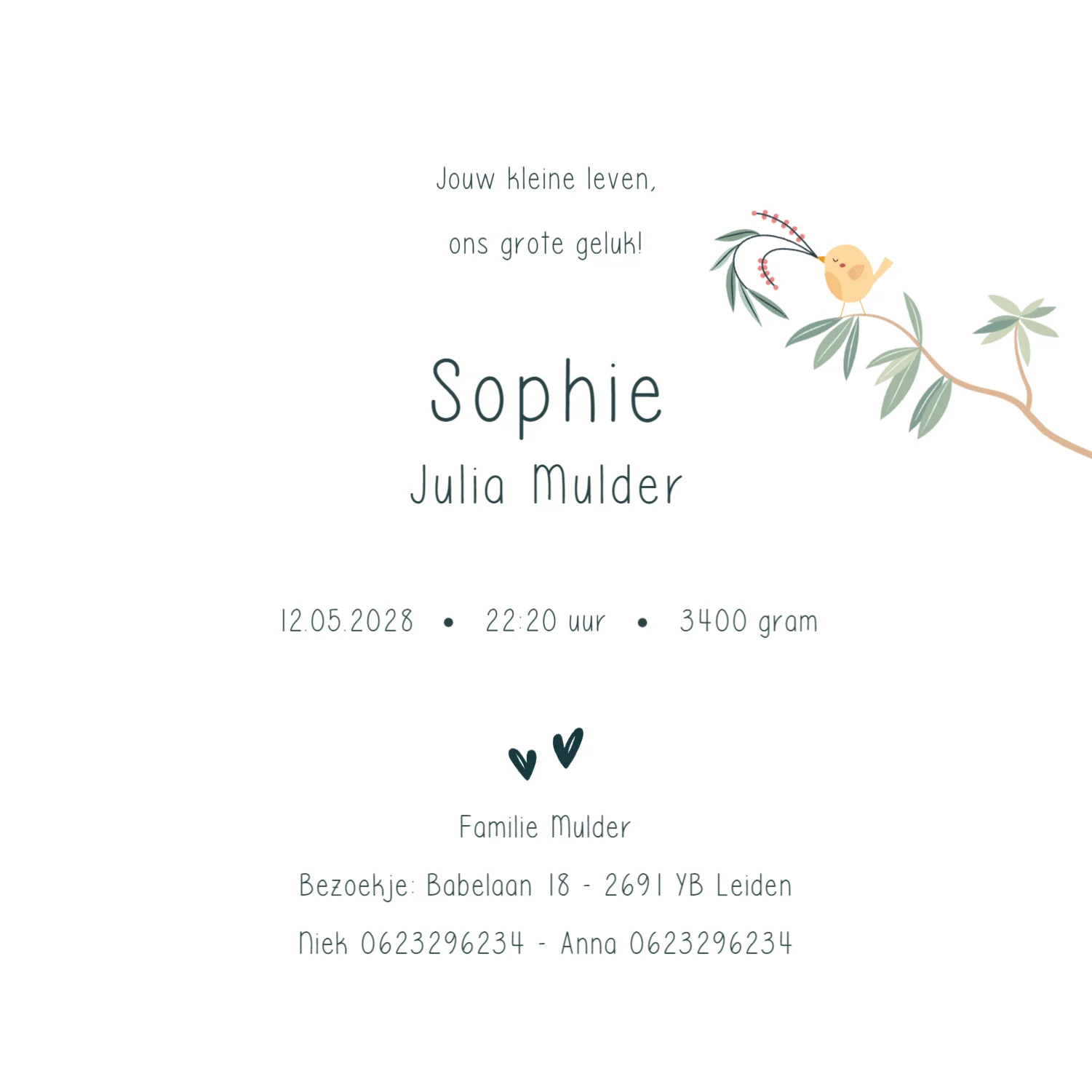 Vogeltjes in krans binnenkant