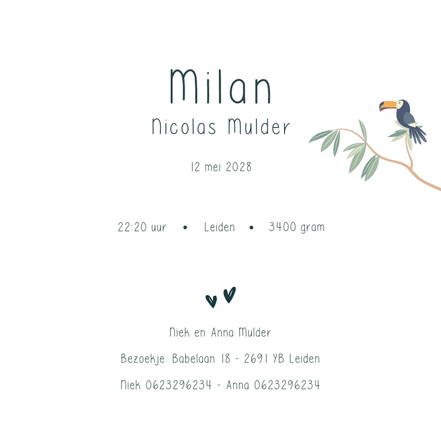 Botanisch binnenkant