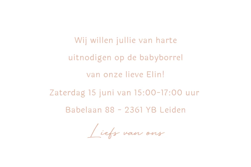 Minimalistisch - Terug