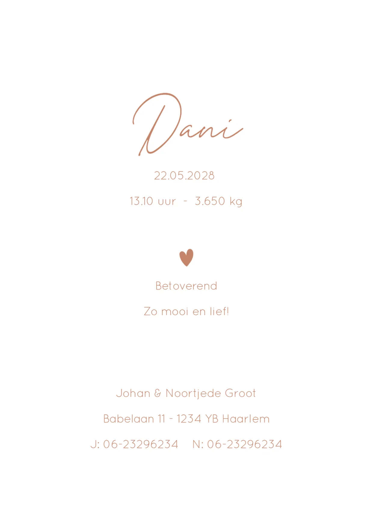 Initiaal D binnenkant