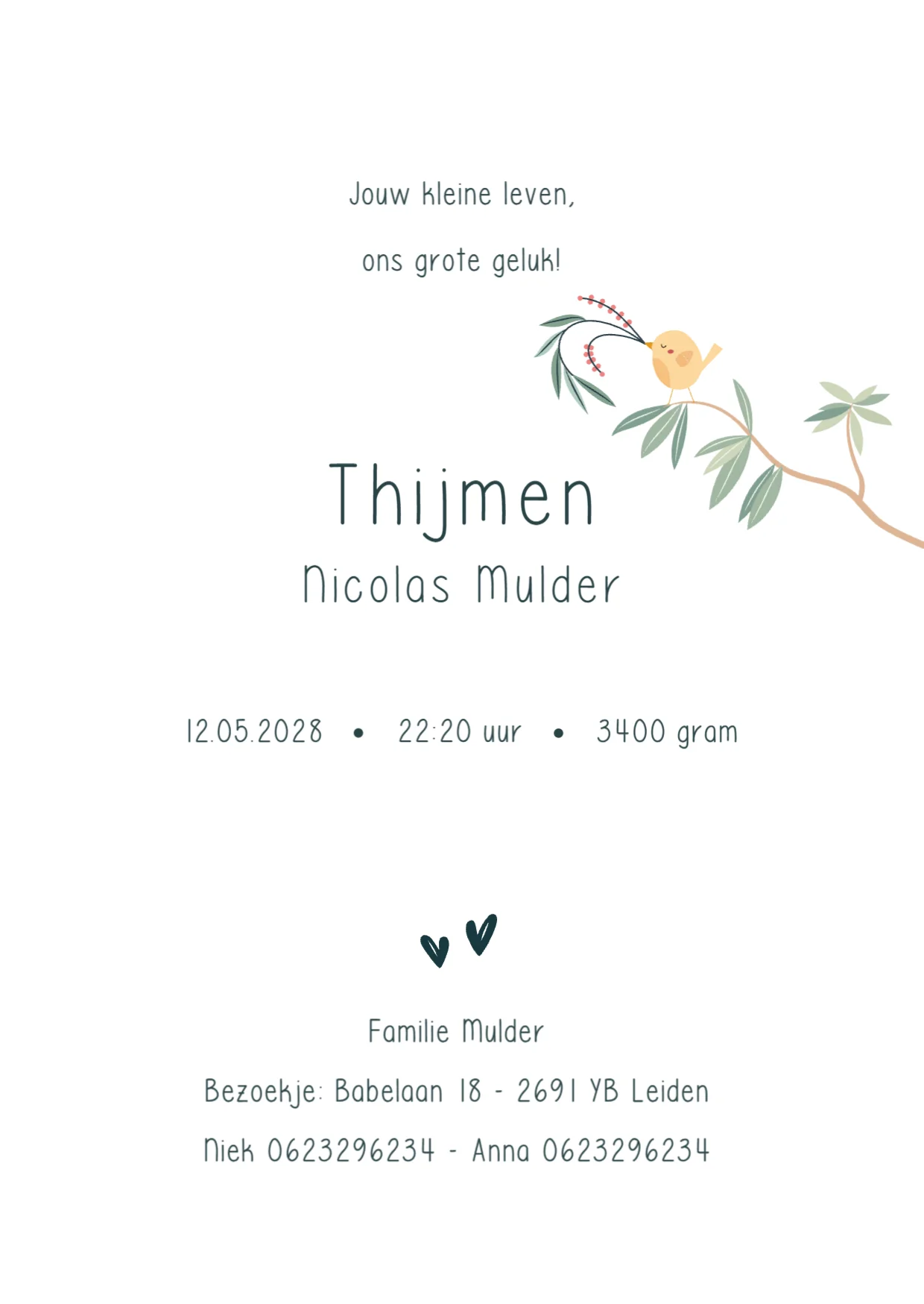 Tuintje - Binnenkant