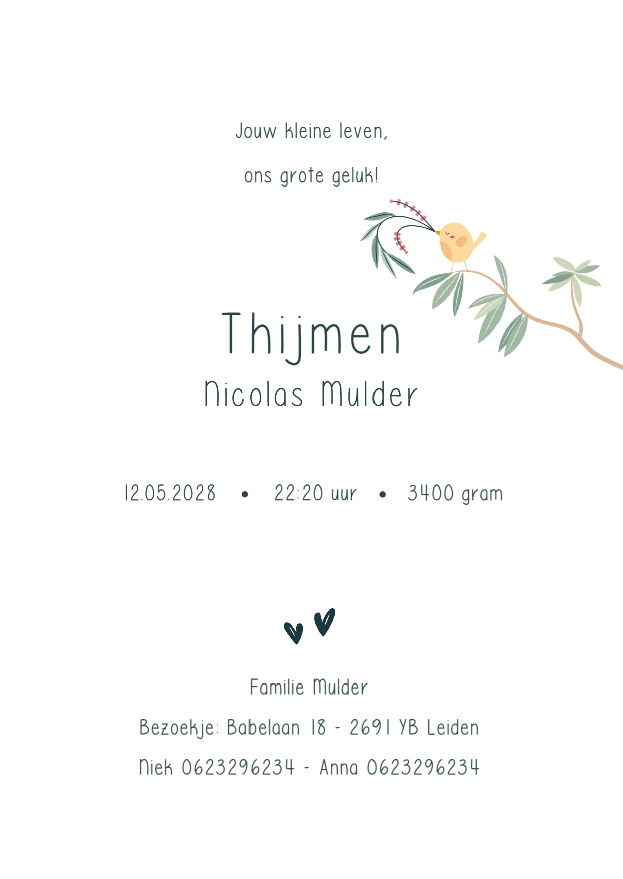 Tuintje - Terug