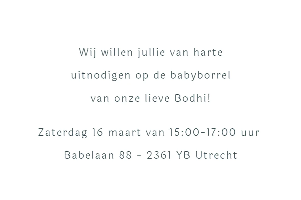 Broertjes met slee - Terug