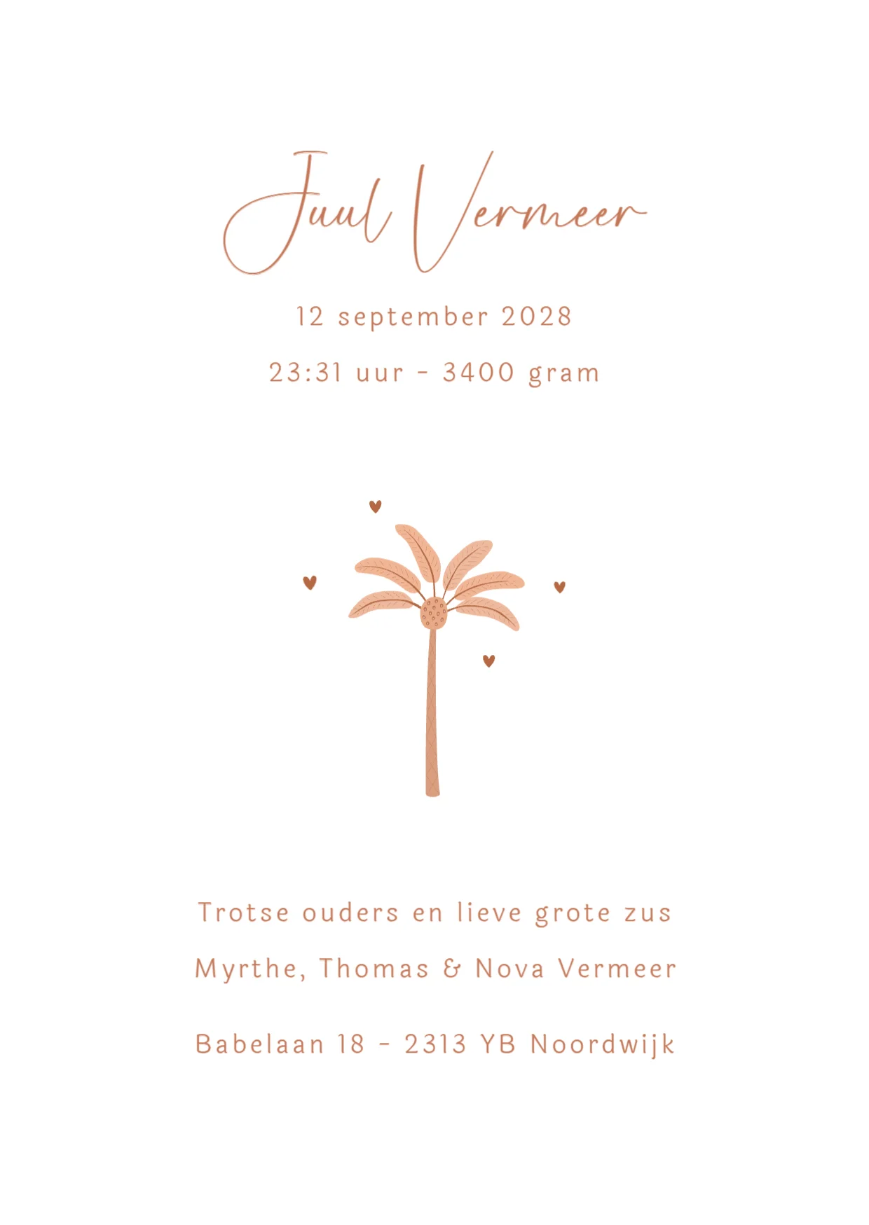 Palmboom onder sterrenhemel - Binnenkant