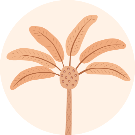 Palmboom onder sterrenhemel