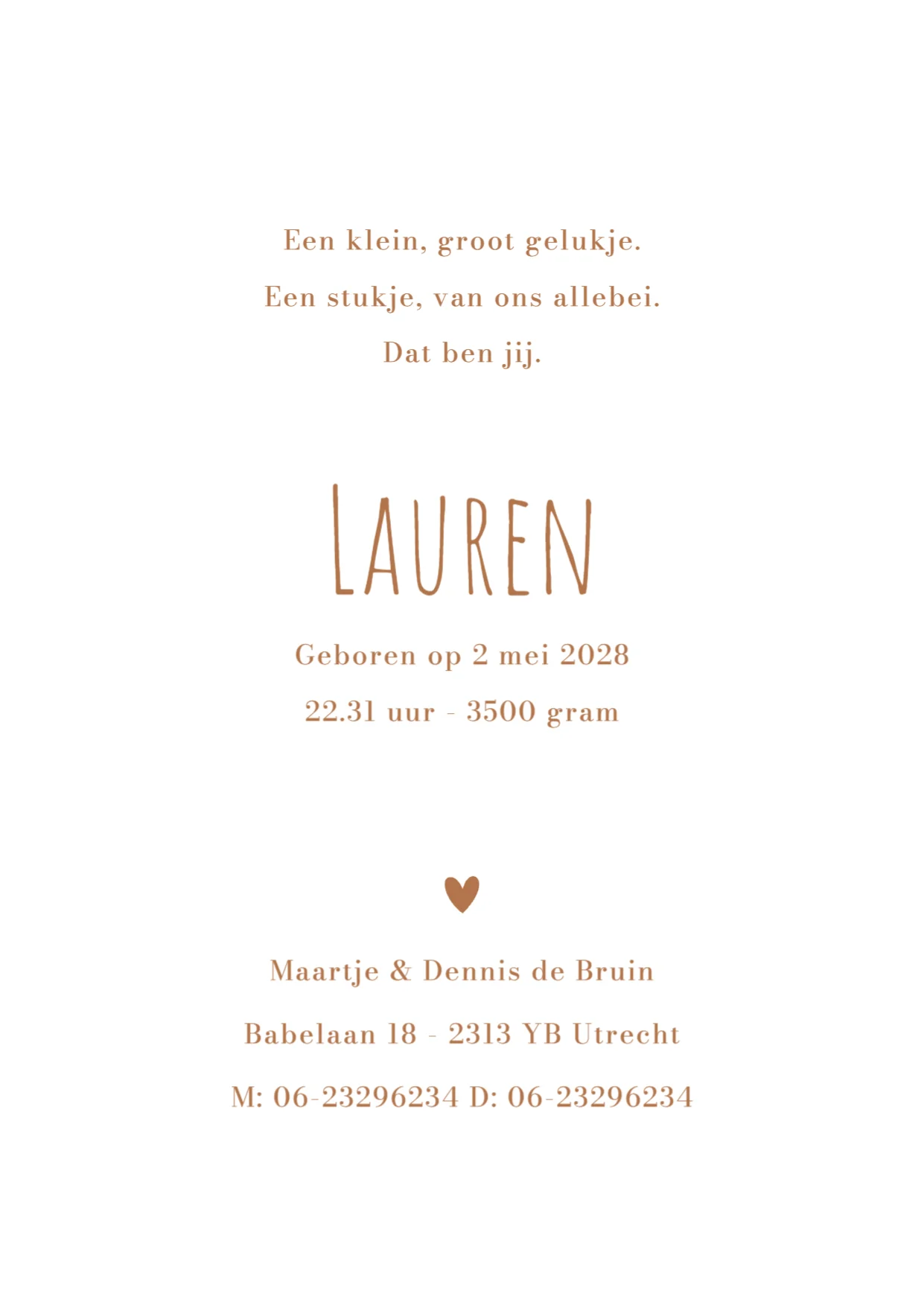 Olifantje onder palmboom - Terug