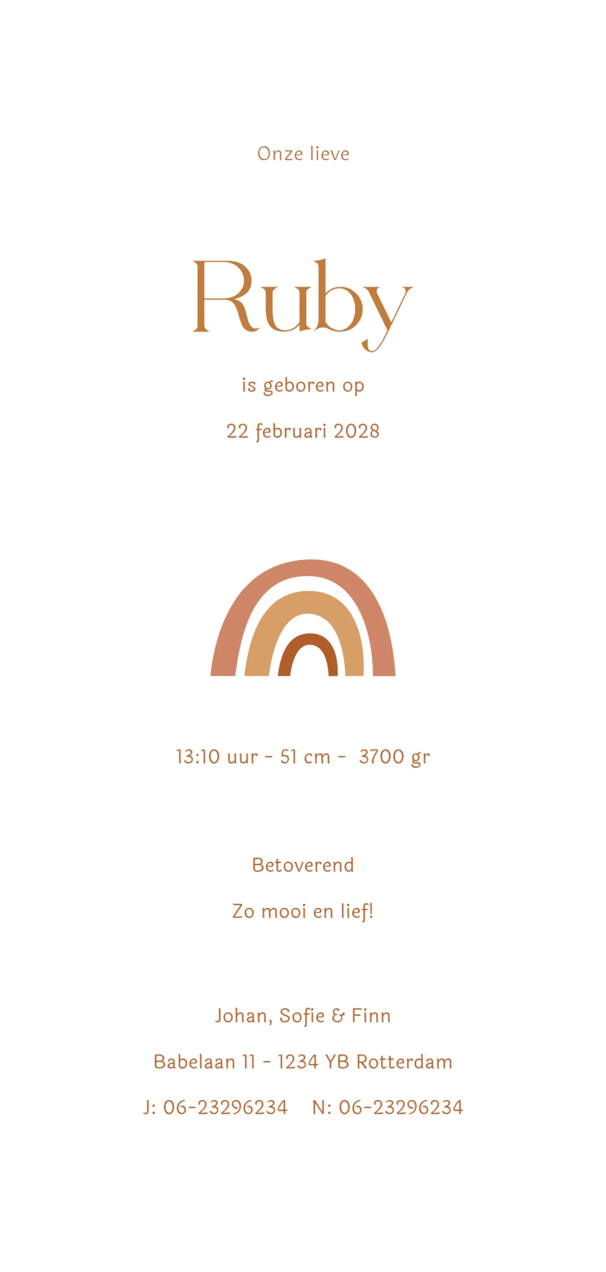 Boho mobiel met regenboog - Terug