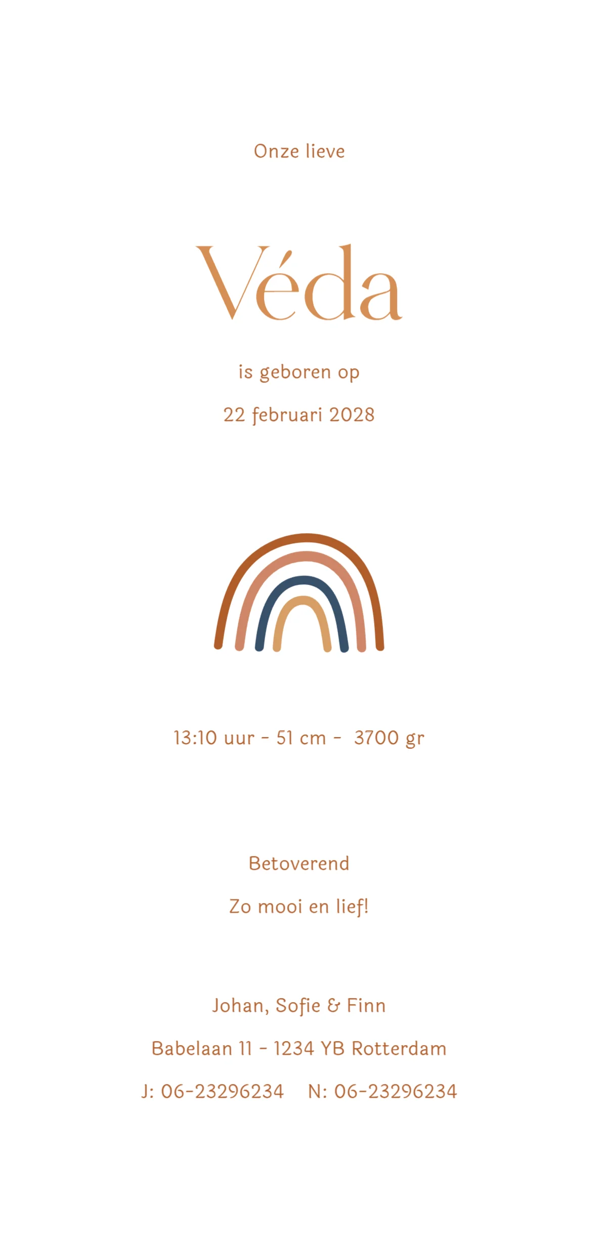 Mobiel met regenboog - Terug