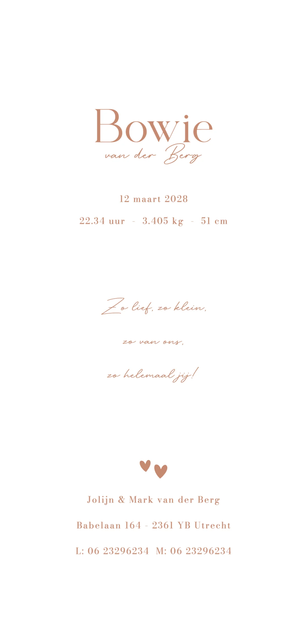 Gans met baby - Terug