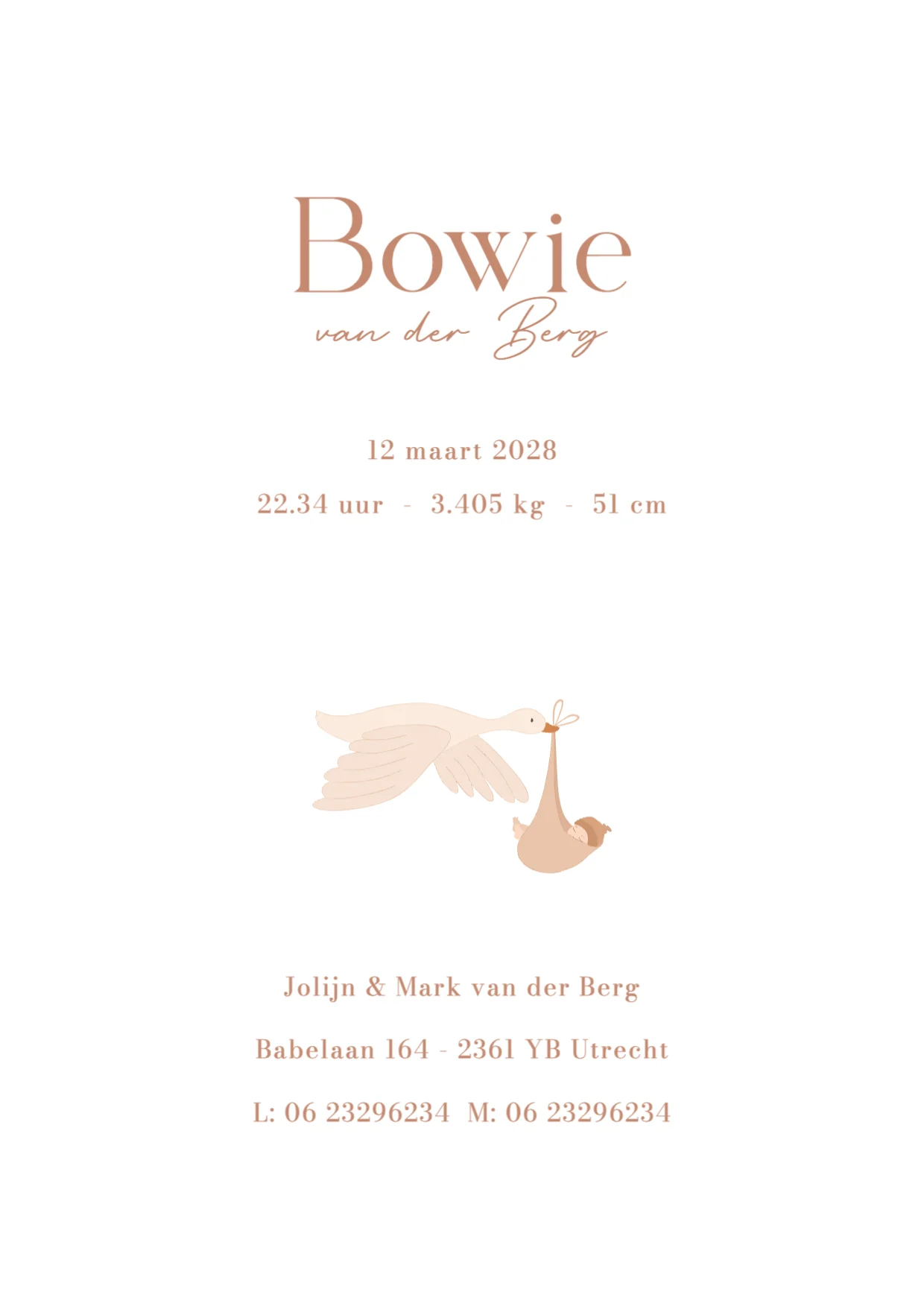 Gans met baby binnenkant