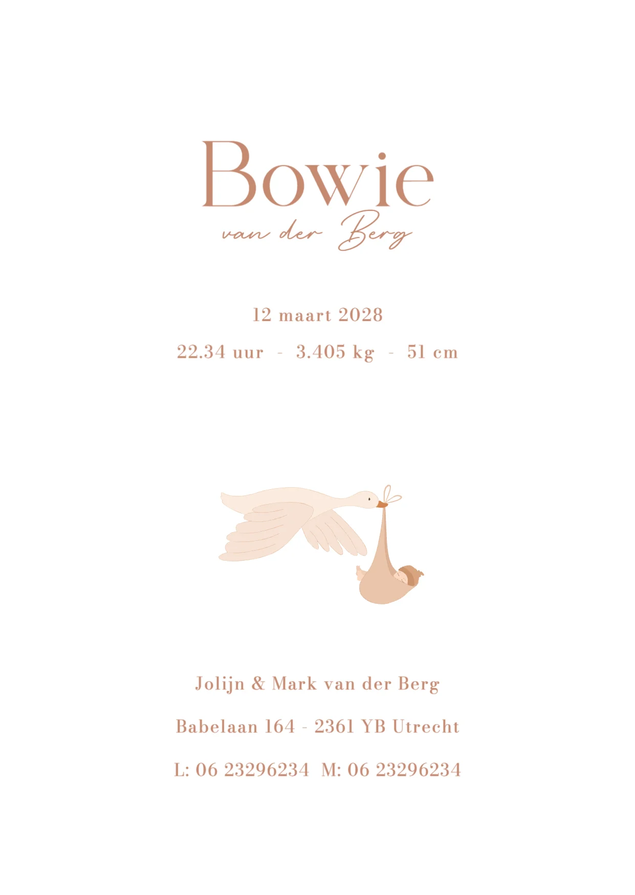 Gans met baby - Terug