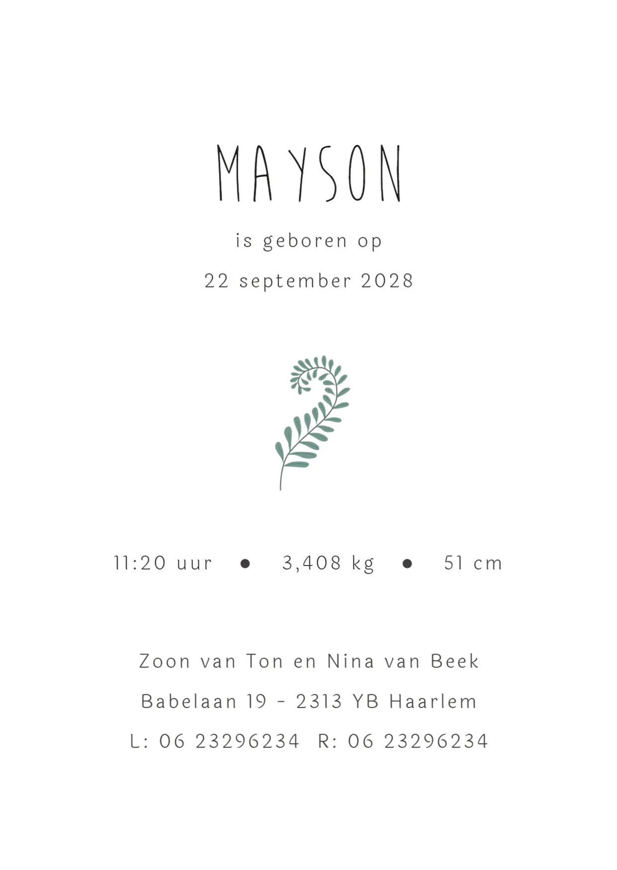 Bruine Tuinbroek met Takjes - Terug