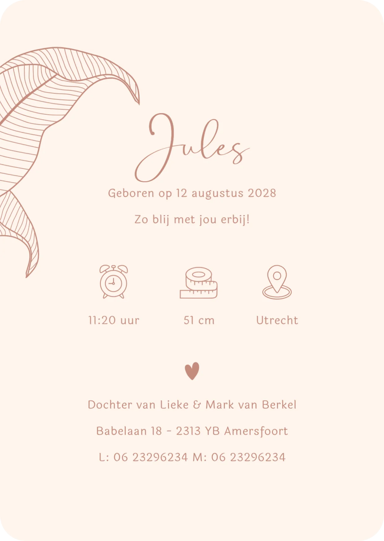 Giraf en aapje met baby - Terug