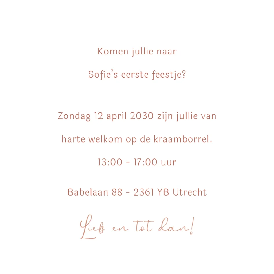 Ganzenfamilie - Terug