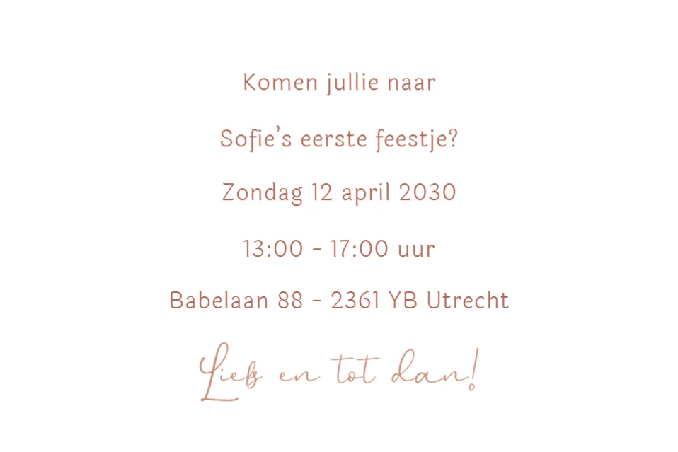 Ganzenfamilie - Terug