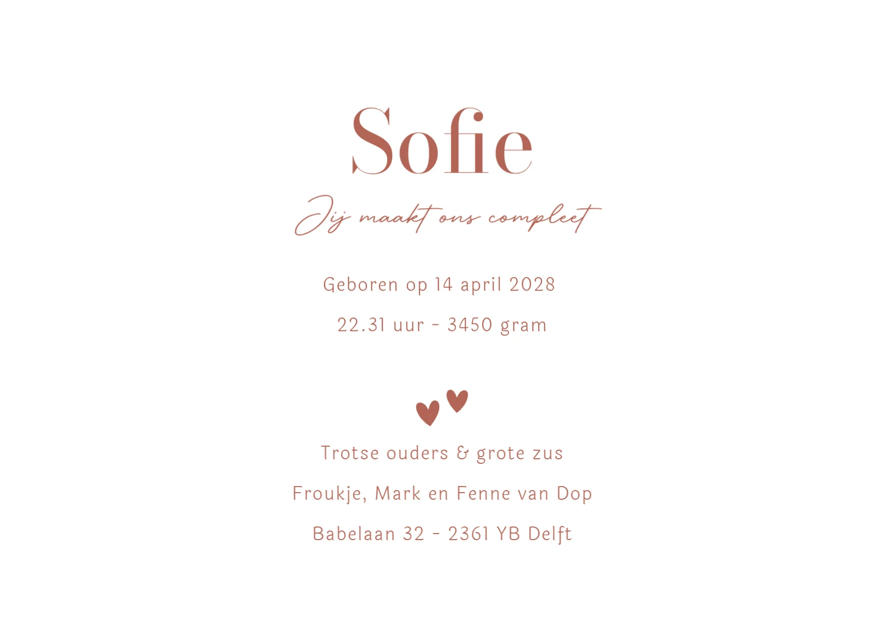 Ganzenfamilie - Terug