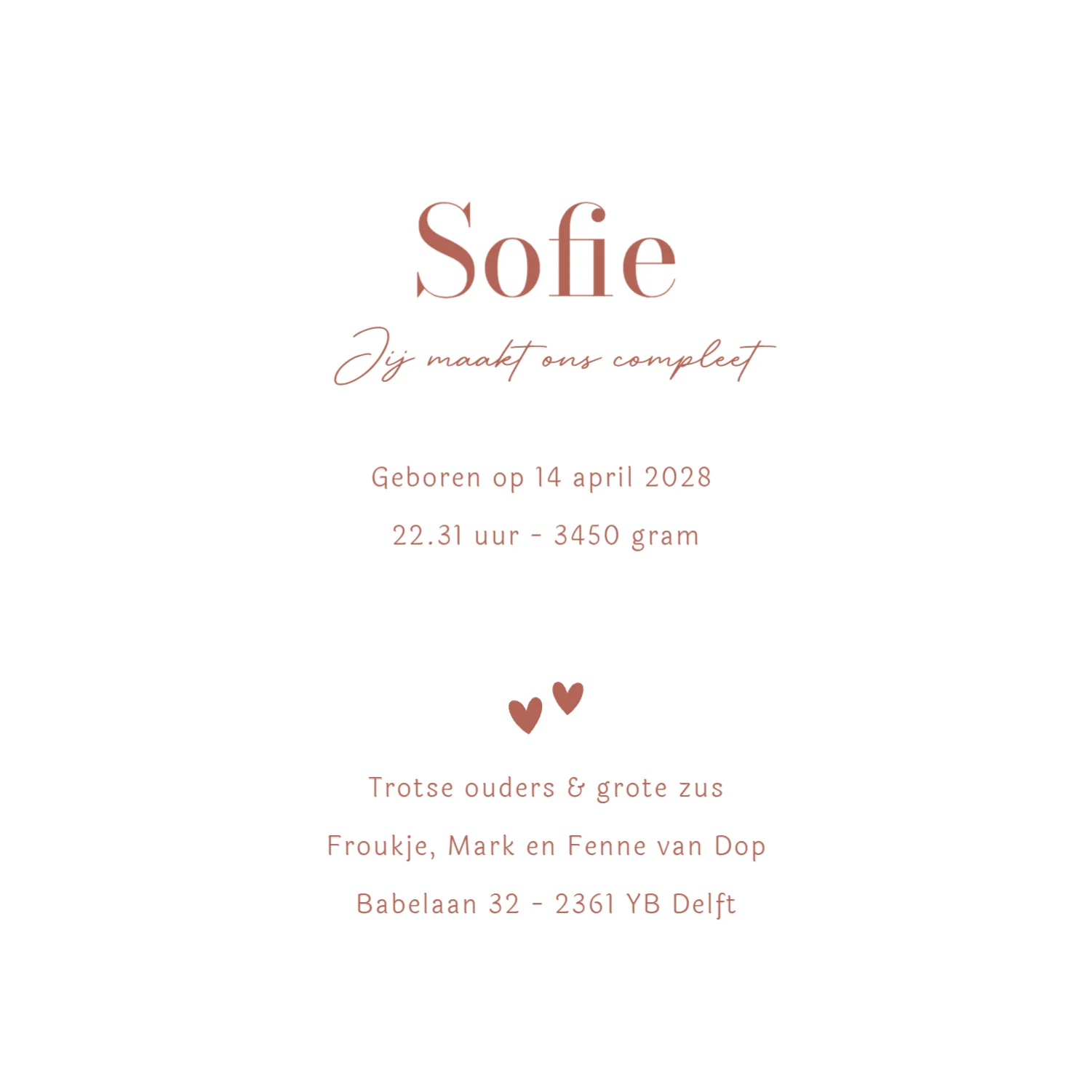 Ganzenfamilie - Terug