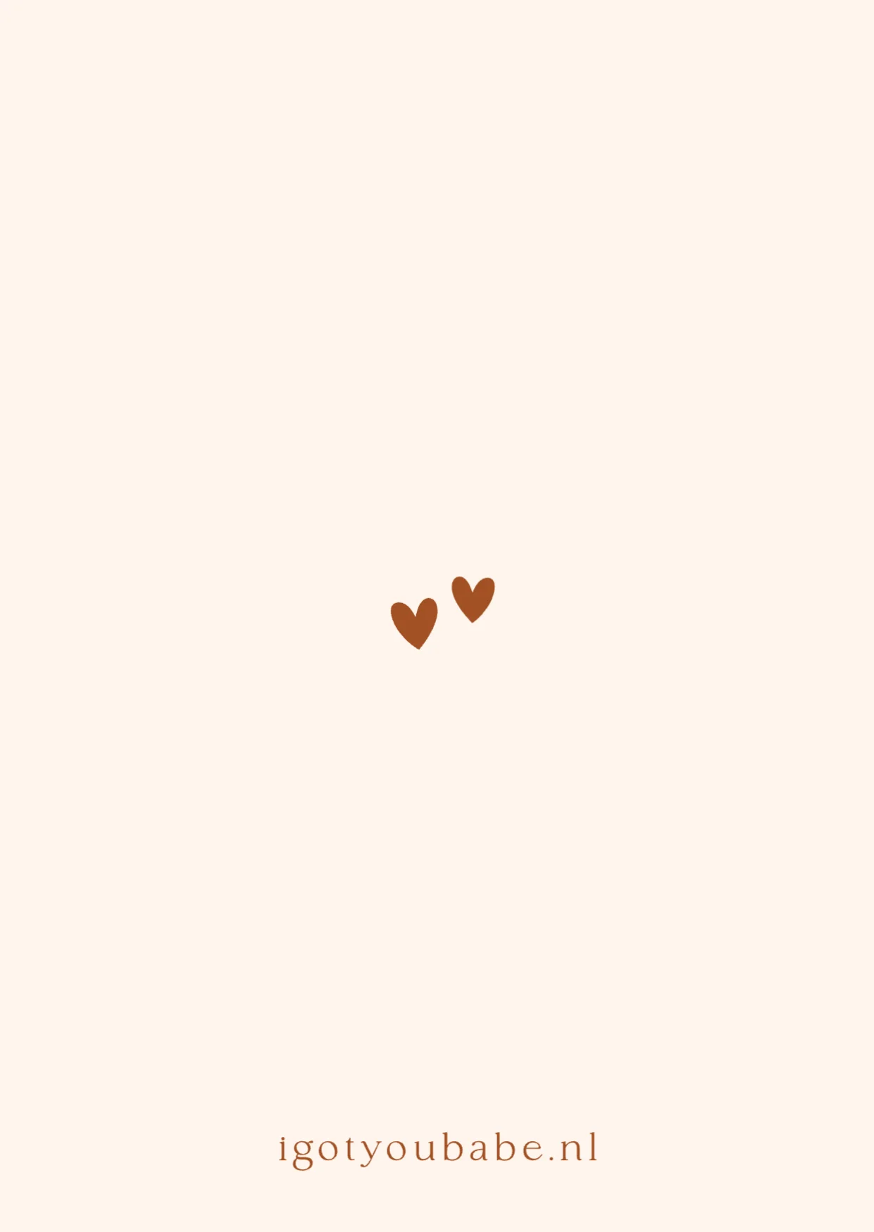 Gansje met feestmuts - Terug