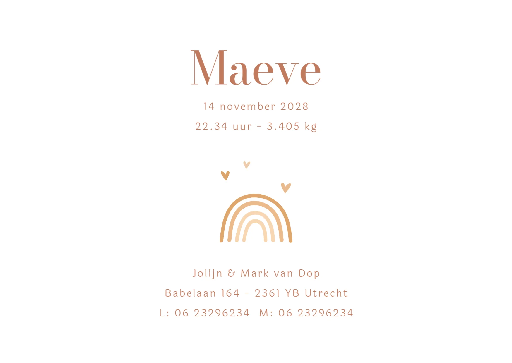 Gans met baby - Terug