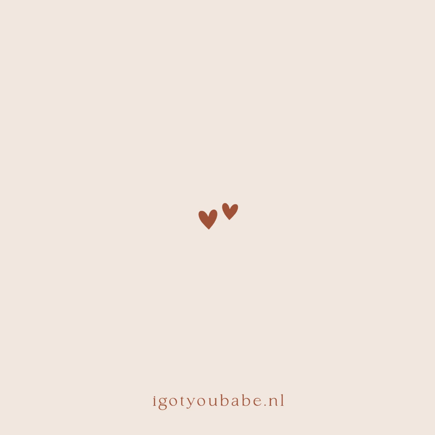 Broertjes op avontuur - Terug