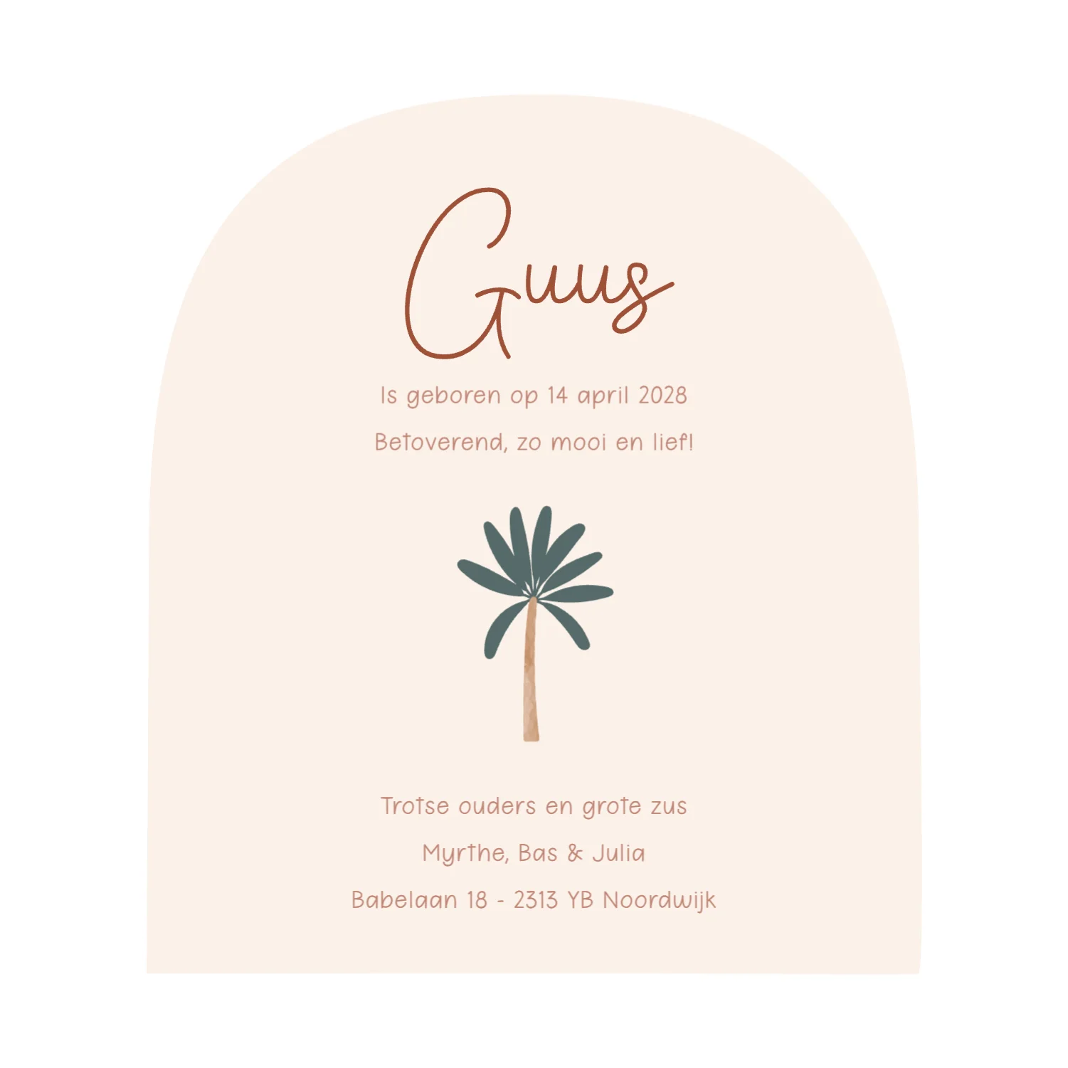 Broertjes op avontuur - Terug