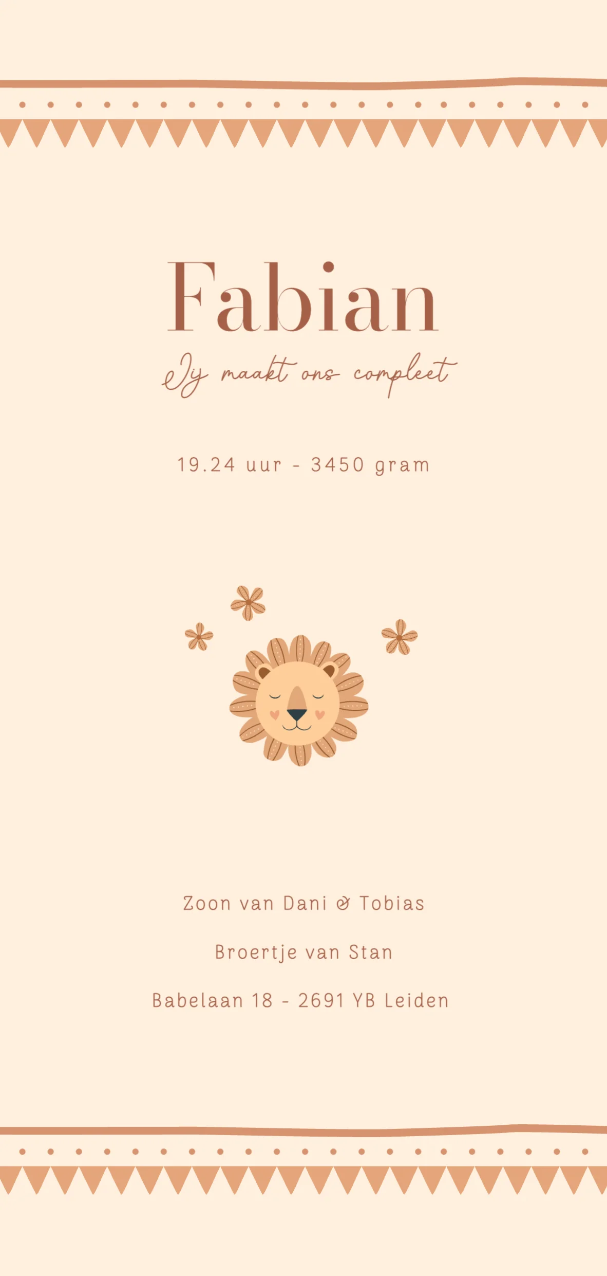 Leeuwtje met feestelijk kader - Terug