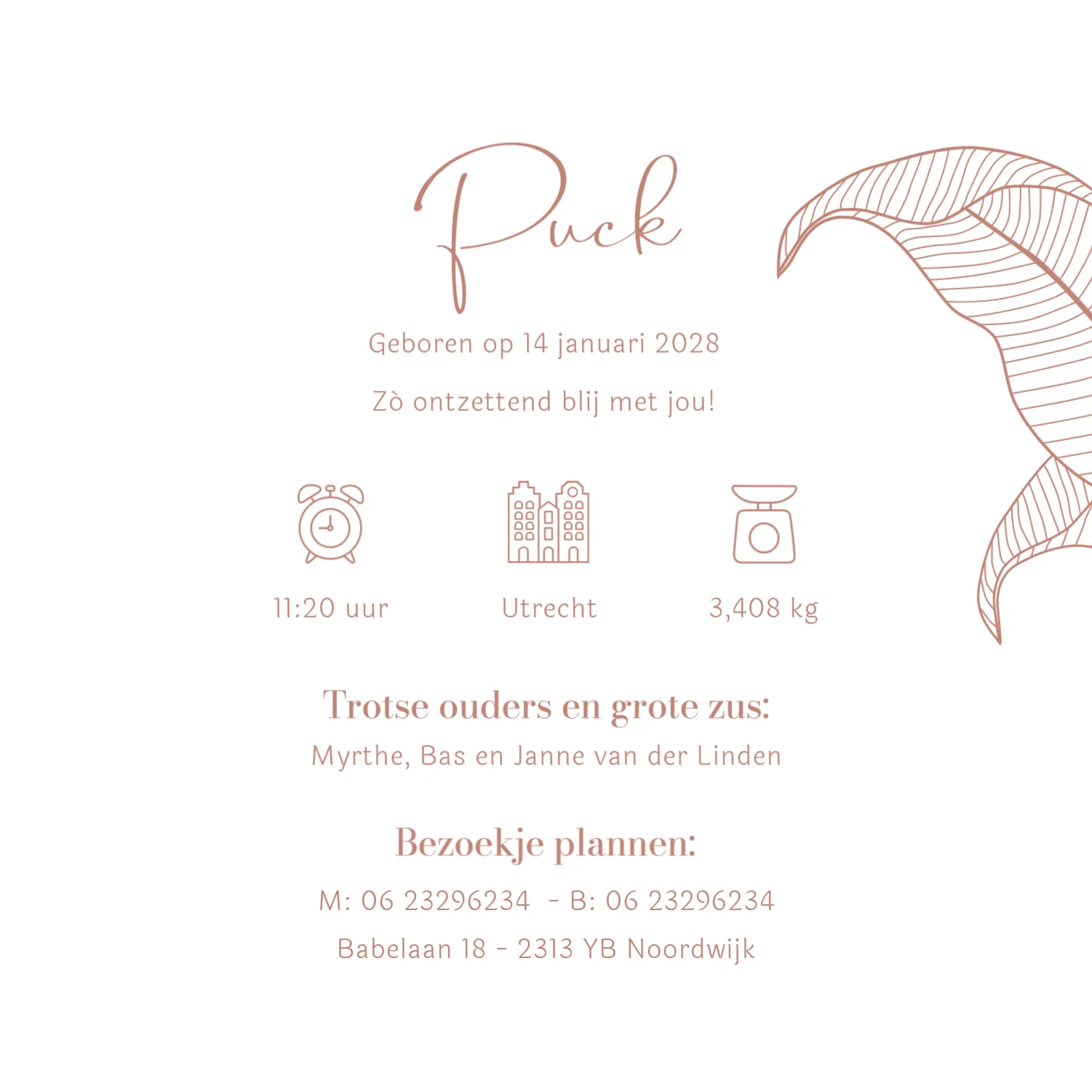 Jungle met giraf en aapje binnenkant