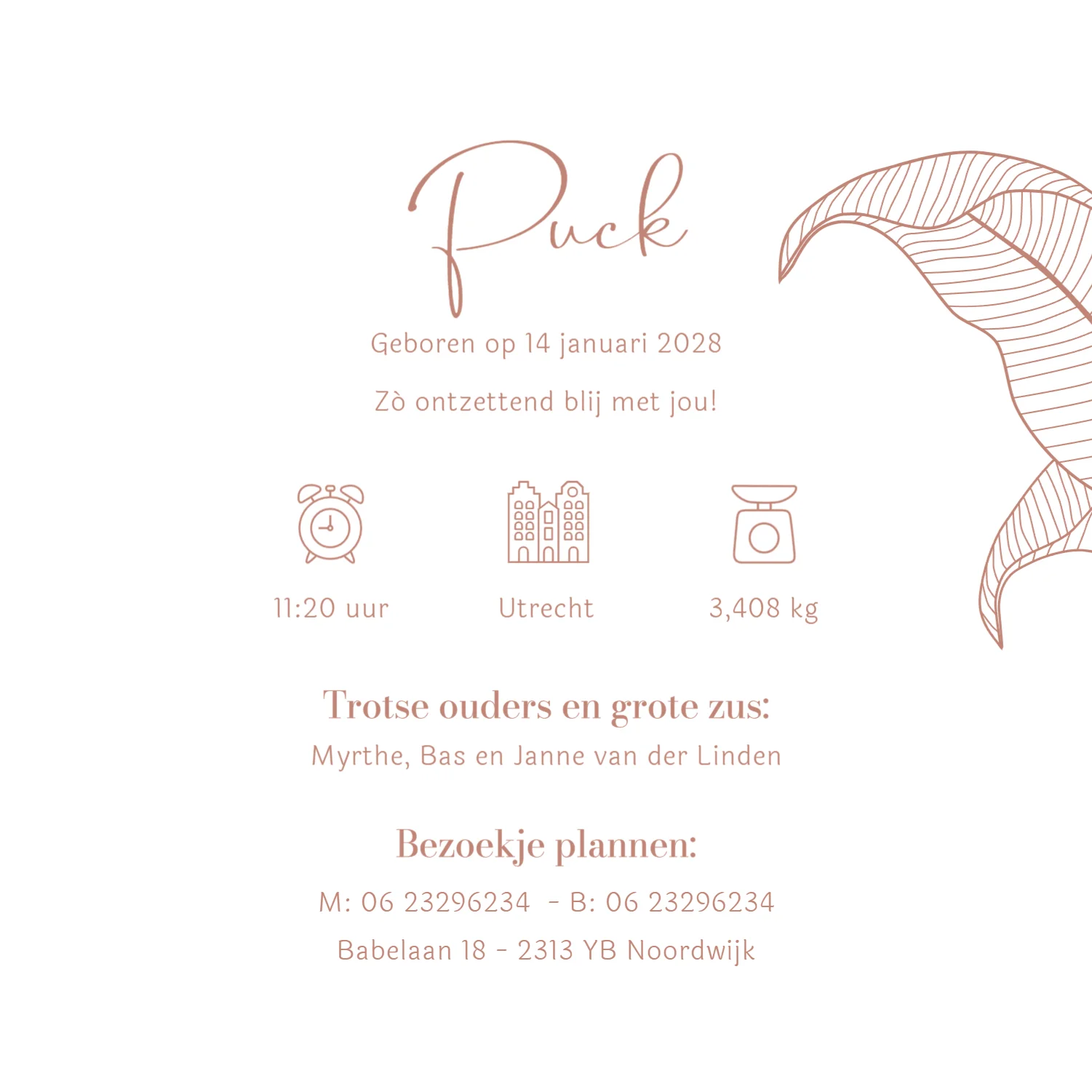 Jungle met giraf en aapje - Terug