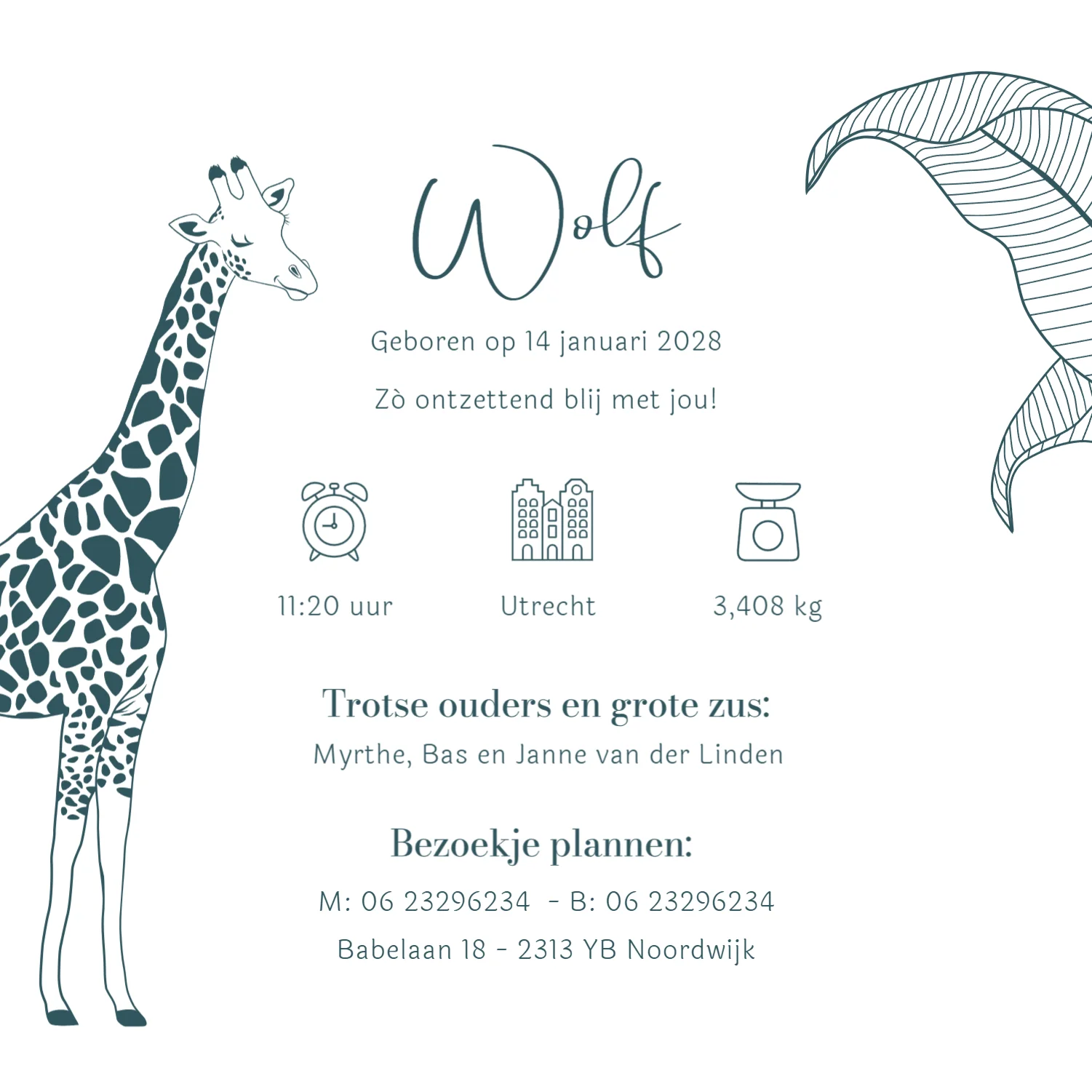 Aapje met baby in jungle - Terug