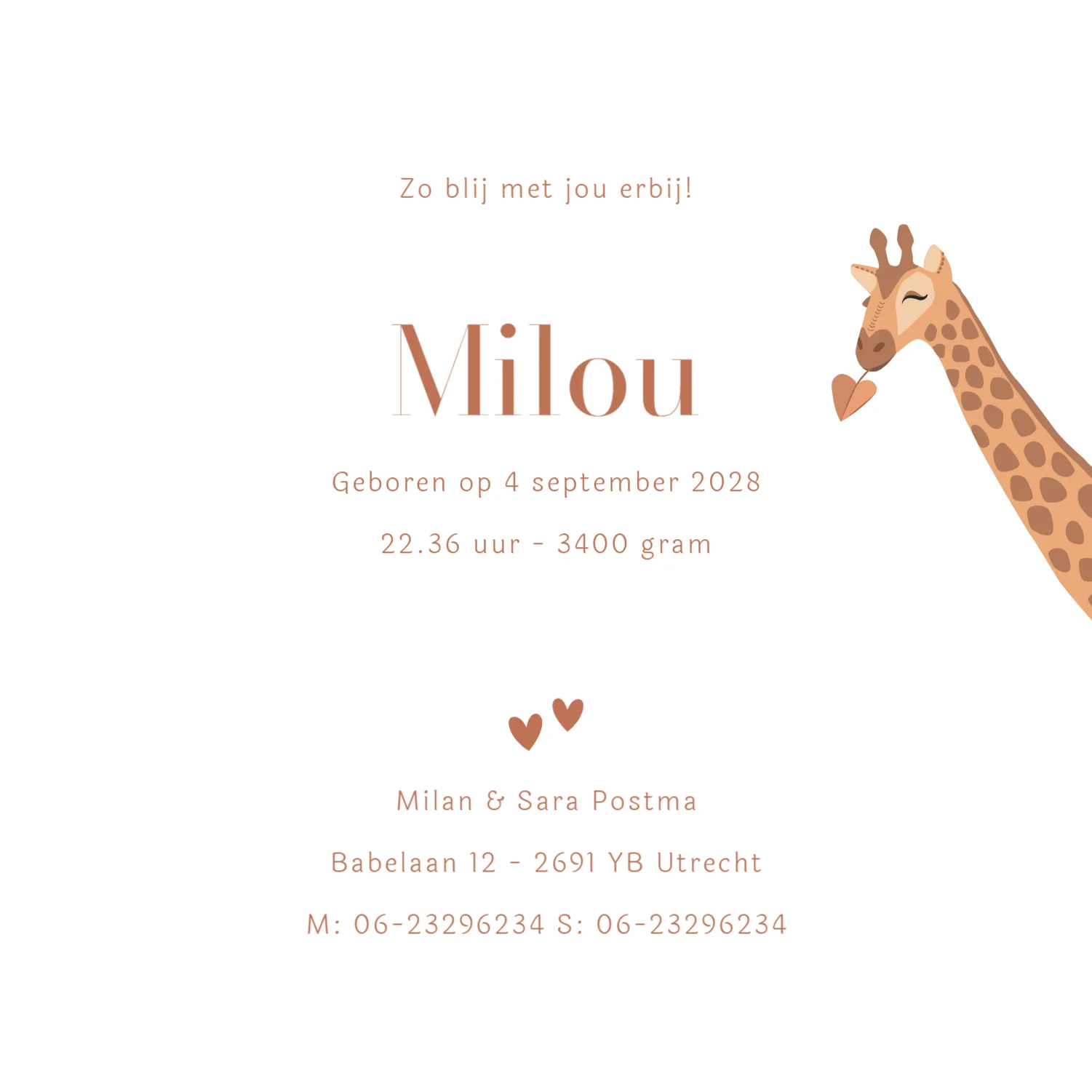 Giraf met Baby - Terug