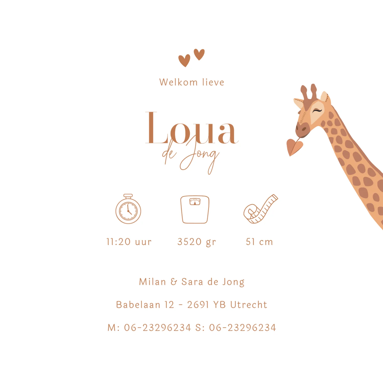 Giraf met baby - Terug