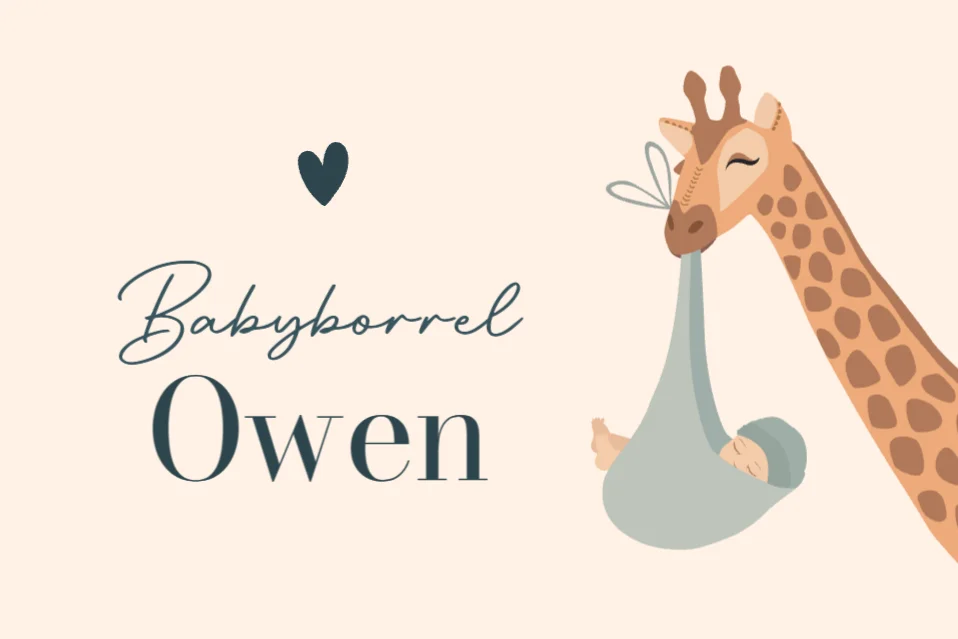 Giraf met baby in draagdoek