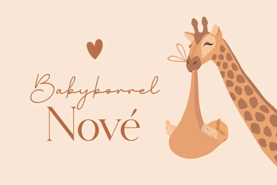 Geboortekaartje met giraf en grote zus