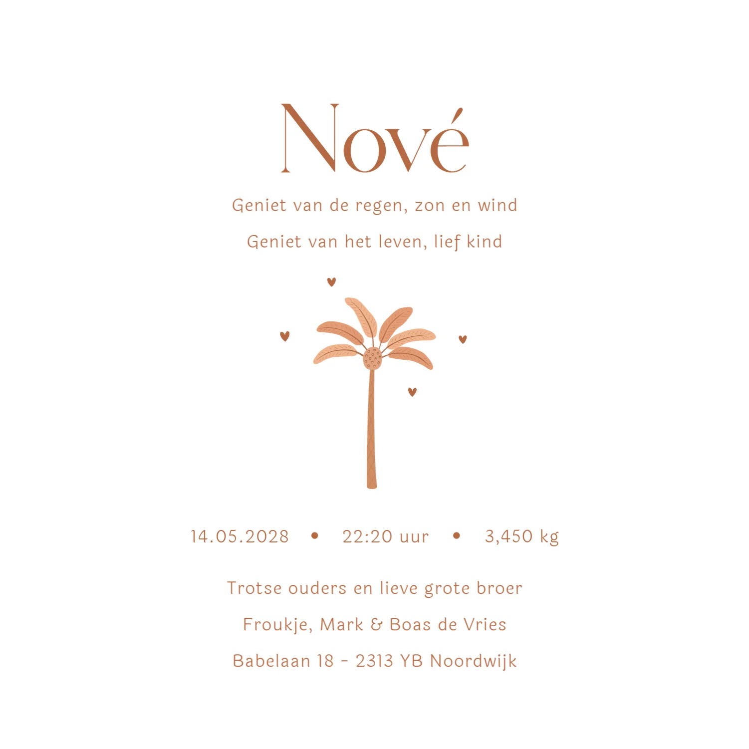 Geboortekaartje met giraf en grote zus binnenkant