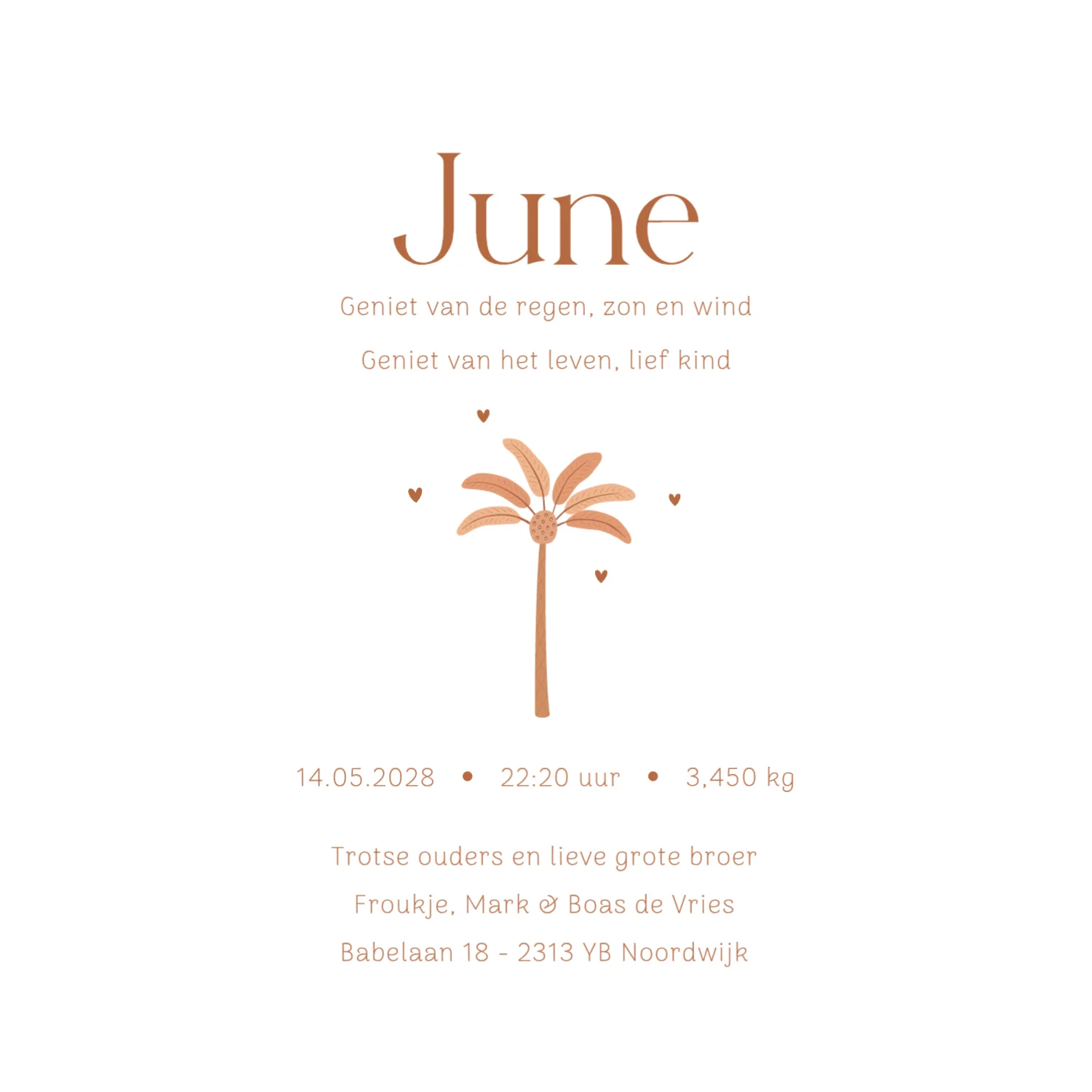 Giraf met grote broer en baby zusje binnenkant