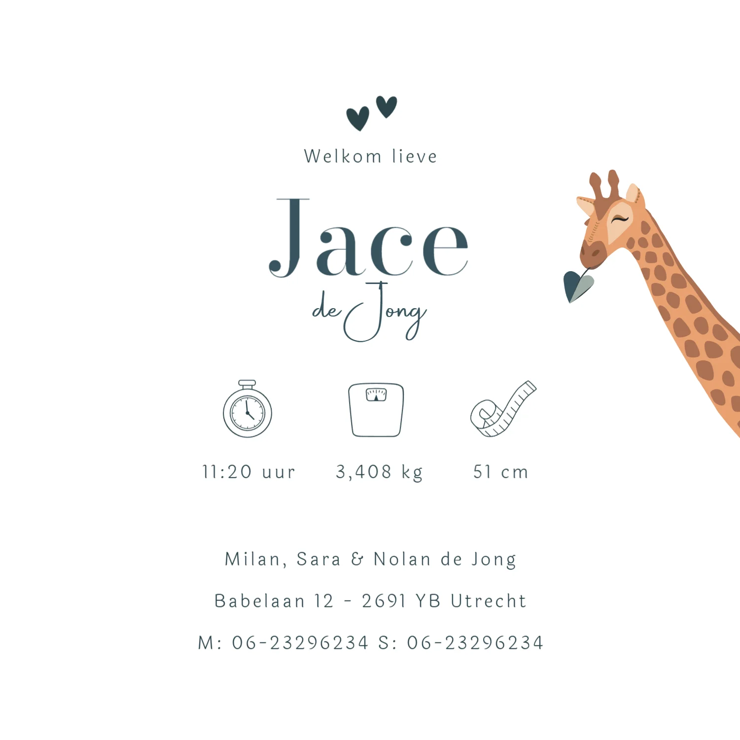 Giraf met grote broer en baby binnenkant