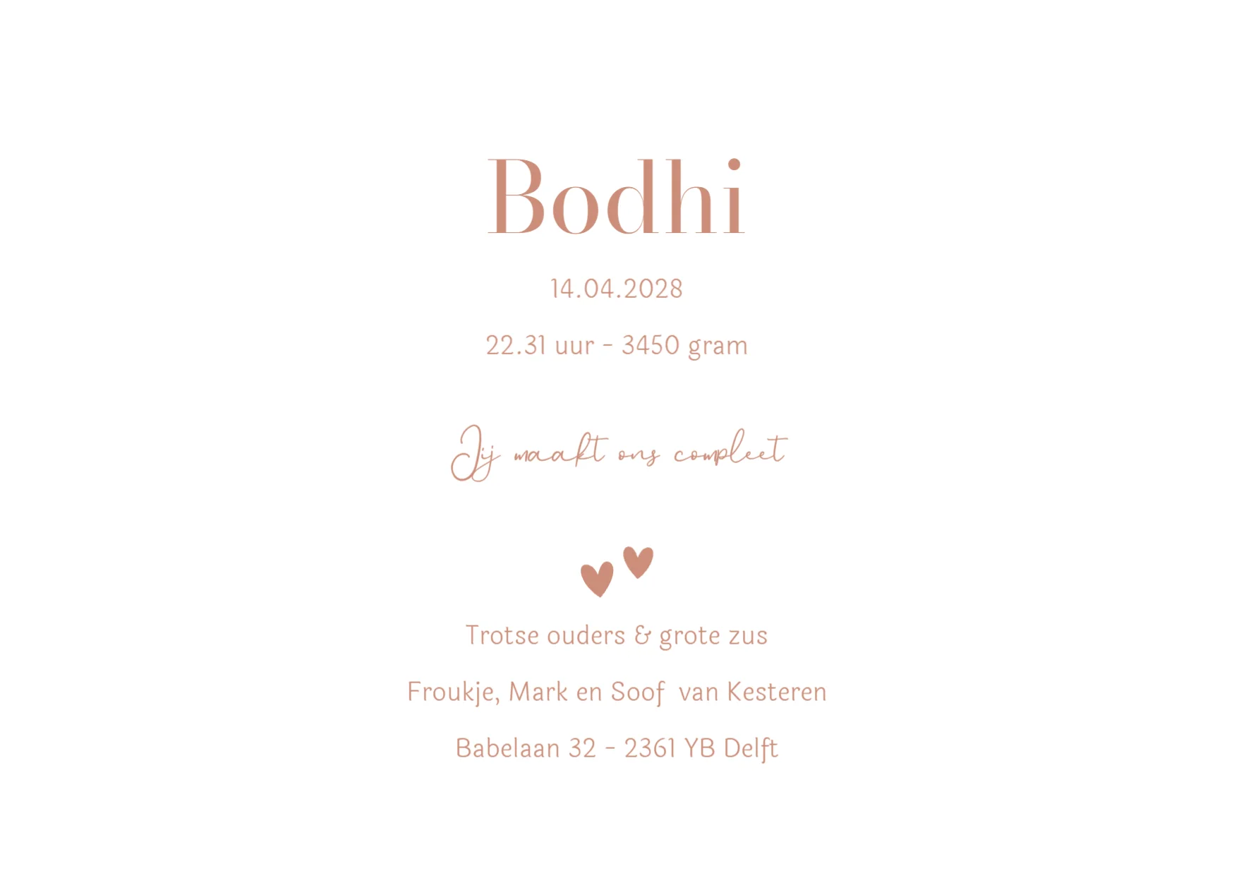 Eendjes met initiaal - Terug