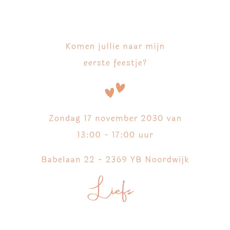 Eilandje met flamingo en koala - Terug