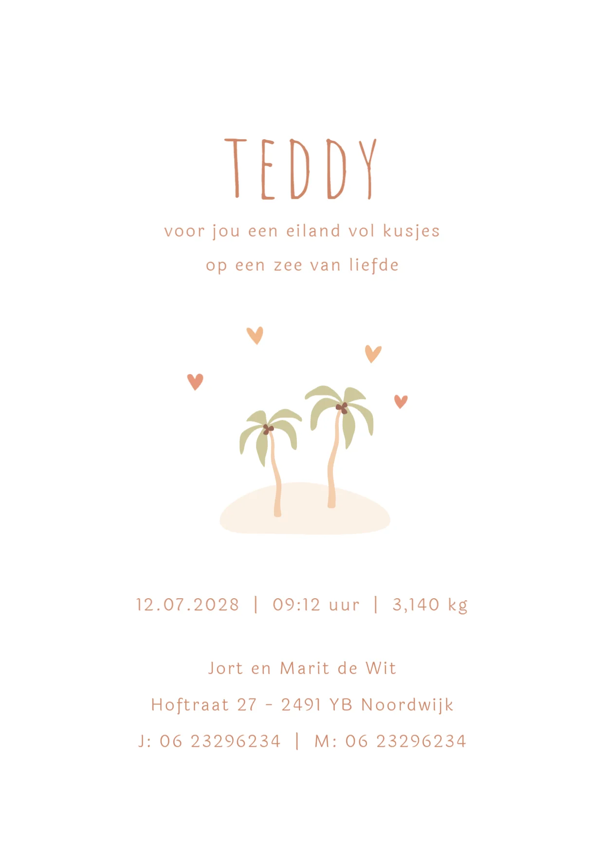 Eiland met wiegje en vlaggenlijntje - Terug