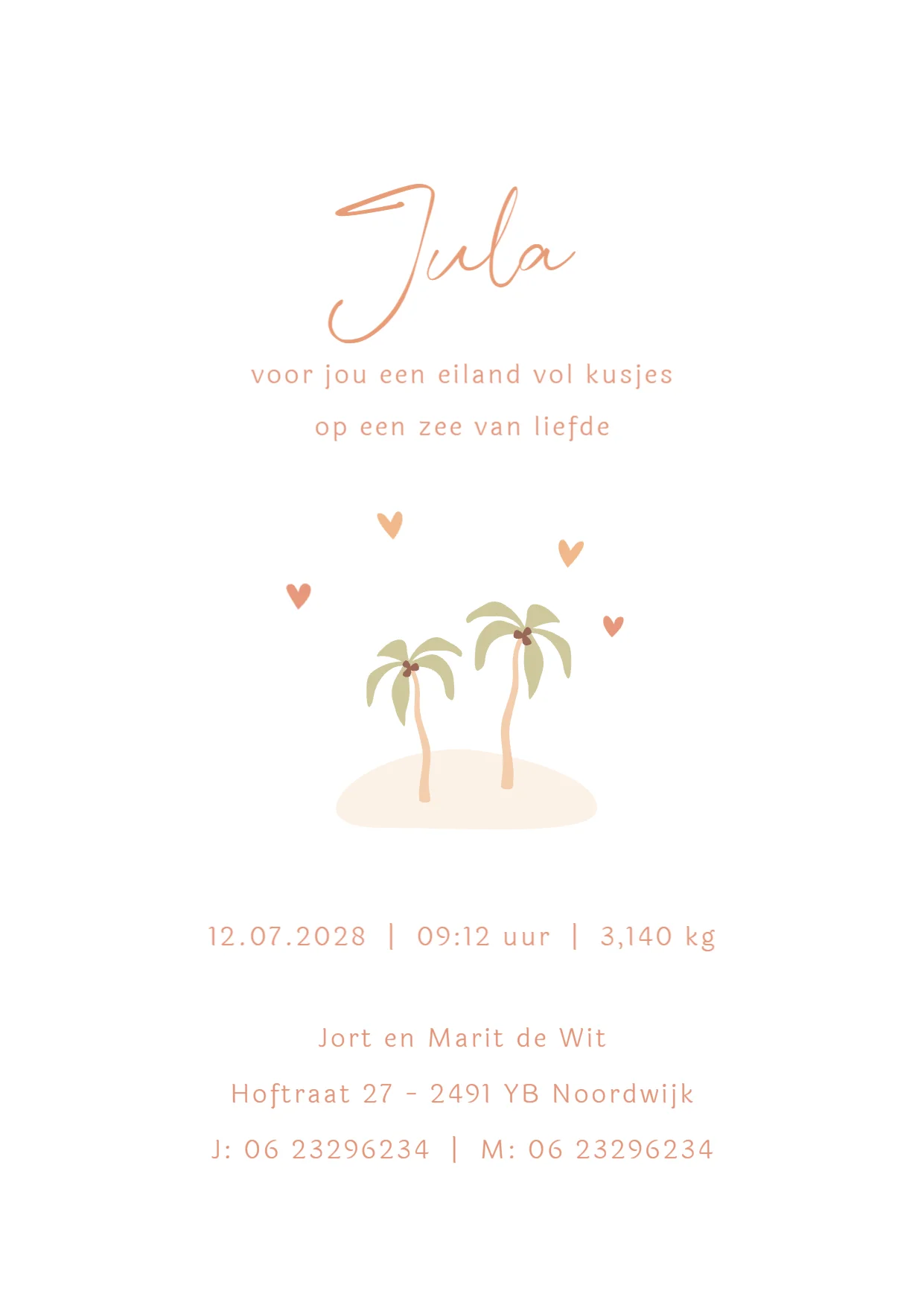 Tropisch eiland met waslijntje - Terug