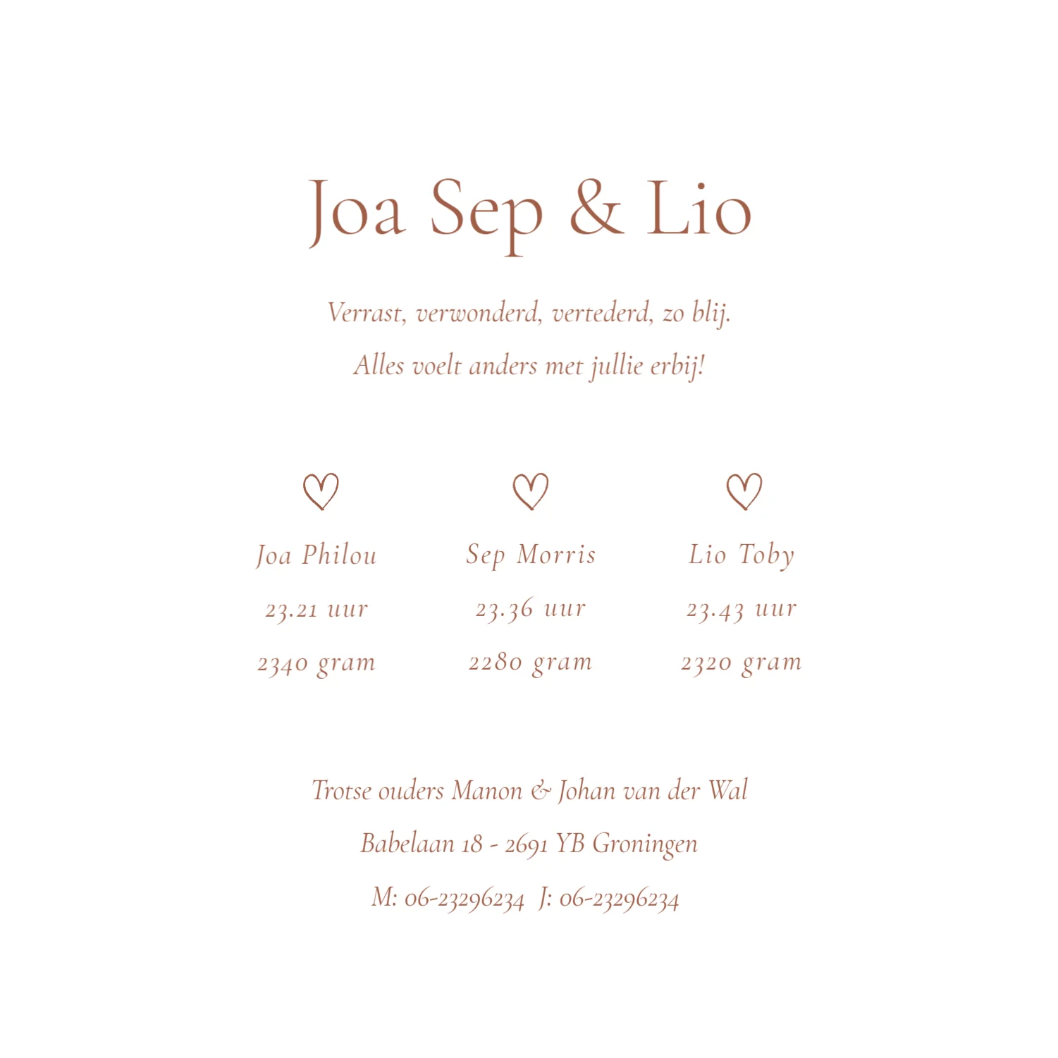 Illustratie Drieling - Terug