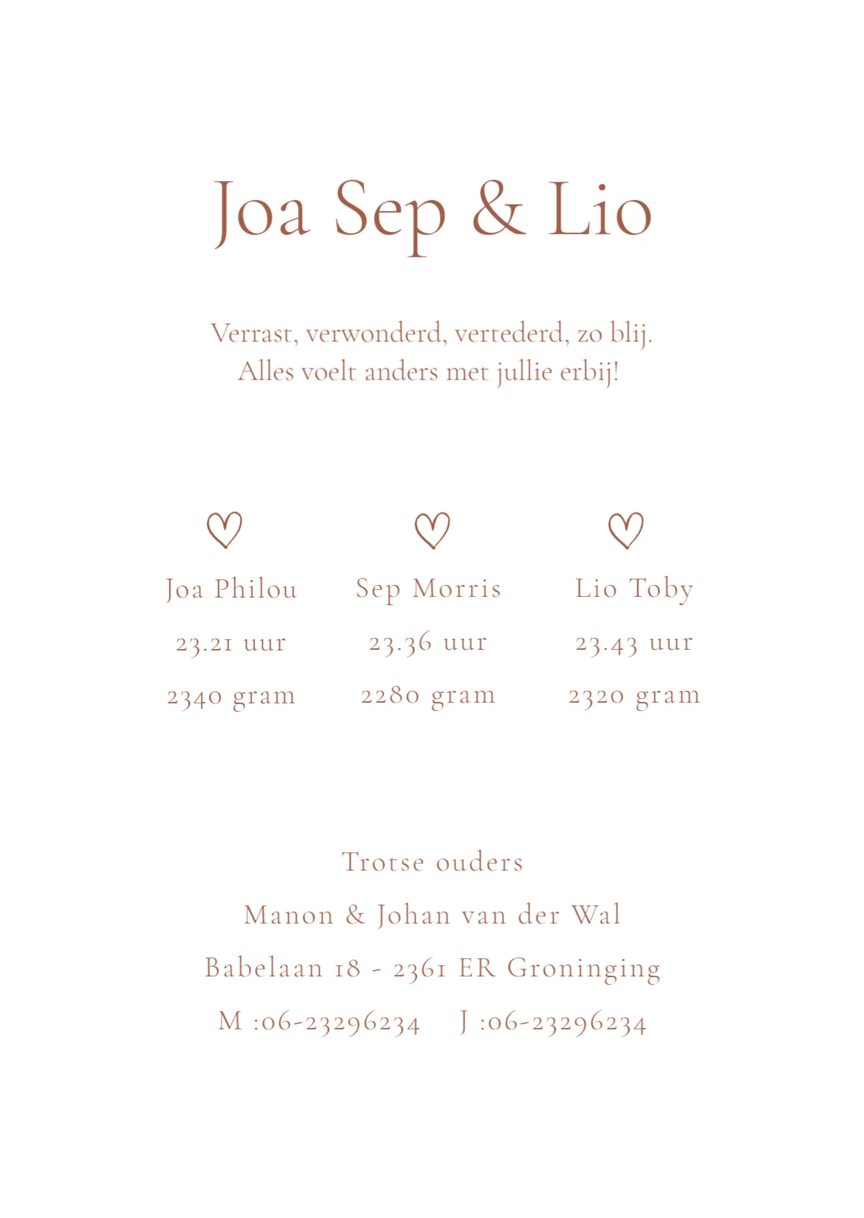 Illustratie Drieling - Terug