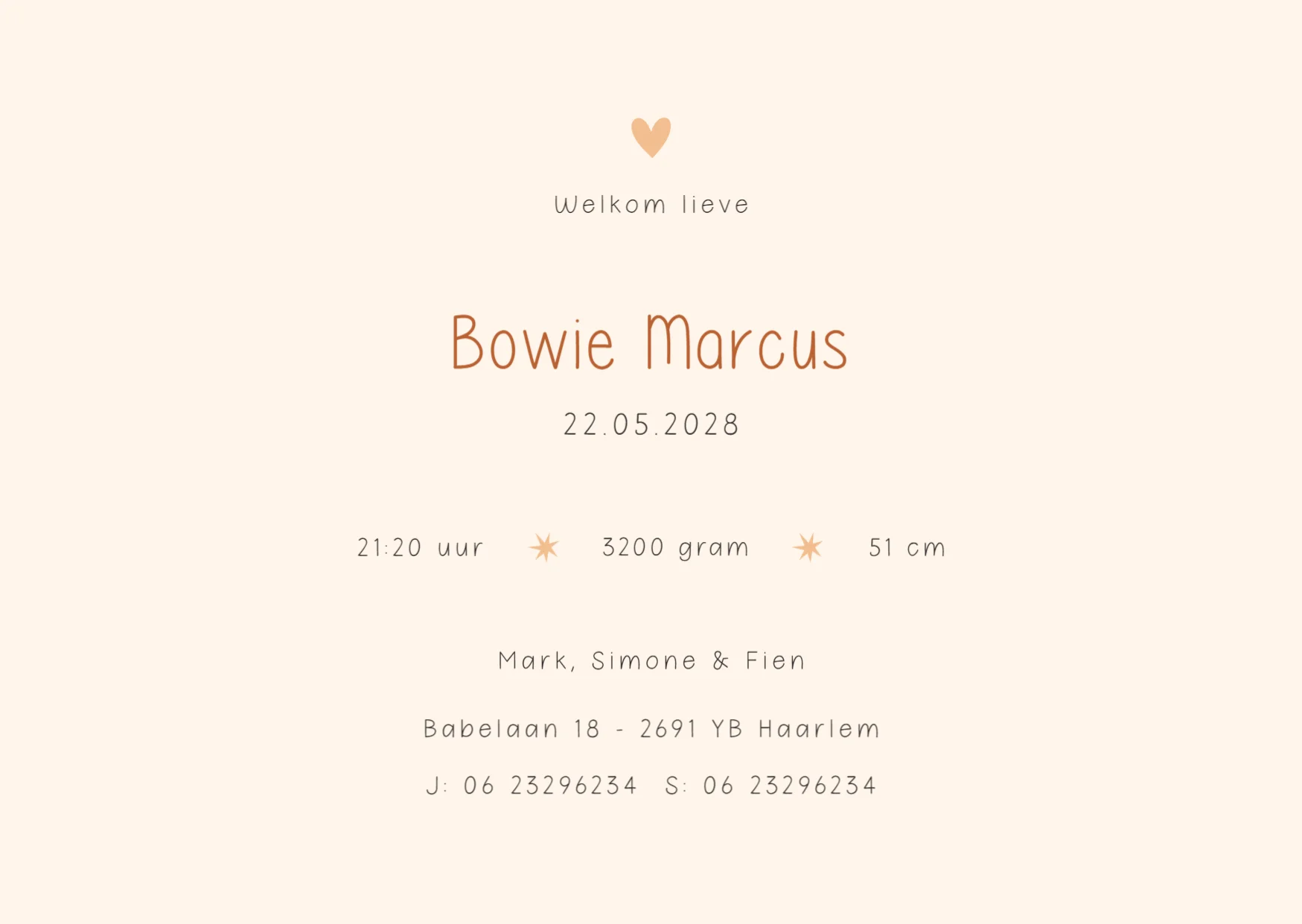 Vrolijke Dierenparade op Fiets - Terug