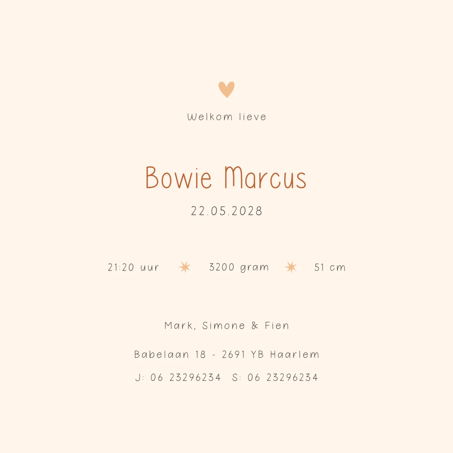 Vrolijke Dierenparade op Fiets binnenkant