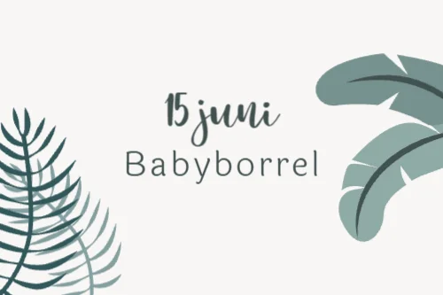 Babyborrelkaart